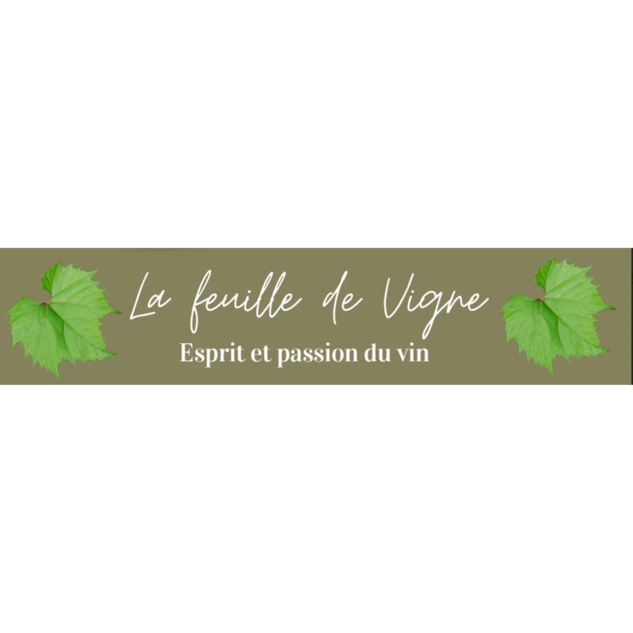 Feuille de Vigne